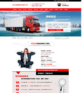 某某物流公司案例 某某物流公司案例